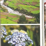 Outlook Traveller - Himalayan Photo Odyssey